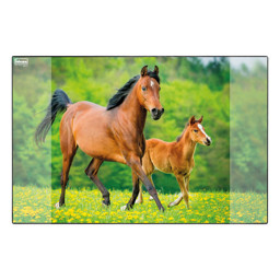 Zeige Details für IDENA Schreibunterlage Pferd Bild von IDENA Schreibunterlage Pferd