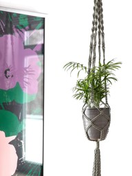 Zeige Details für GRÜNDL Anleitung Makramee Blumenampel Bild von GRÜNDL Anleitung Makramee Blumenampel