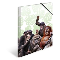 Zeige Details für HERMA Sammelmappe Affenbande, A3 Bild von HERMA Sammelmappe Affenbande, A3