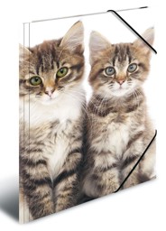 Zeige Details für HERMA Sammelmappe Katze, A3 Bild von HERMA Sammelmappe Katze, A3