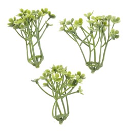 Zeige Details für HOBBYFUN Mini Gewächs grün Bild von HOBBYFUN Mini Gewächs grün