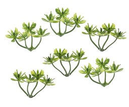 Zeige Details für HOBBYFUN Mini Buchs I Bild von HOBBYFUN Mini Buchs I