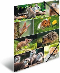 Zeige Details für HERMA Sammelmappe A3 Waldtiere Bild von HERMA Sammelmappe A3 Waldtiere