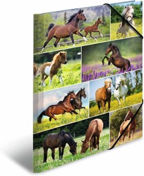 Zeige Details für HERMA Sammelmappe A3 Pferdewiese Bild von HERMA Sammelmappe A3 Pferdewiese