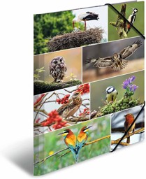 Zeige Details für Kopie von HERMA Sammelmappe A3 Heimatvögel Bild von Kopie von HERMA Sammelmappe A3 Heimatvögel