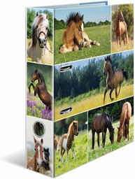 Zeige Details für HERMA Motivordner Nagetiere DIN A4 Bild von HERMA Motivordner Nagetiere DIN A4