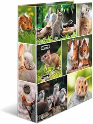 Zeige Details für HERMA Motivordner Nagetiere DIN A4 Bild von HERMA Motivordner Nagetiere DIN A4