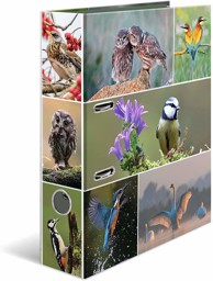 Zeige Details für HERMA Motivordner Heimatvögel DIN A4 Bild von HERMA Motivordner Heimatvögel DIN A4