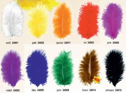 Zeige Details für Marabufedern
 Bild von Marabufedern