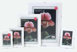 Zeige Details für Rahmenloser Bildhalter 50 x 70 cm Bild von Rahmenloser Bildhalter 50 x 70 cm