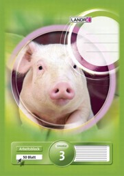 Zeige Details für LANDRÉ Arbeitsblock  A4  Lin. 3 Bild von LANDRÉ Arbeitsblock  A4  Lin. 3